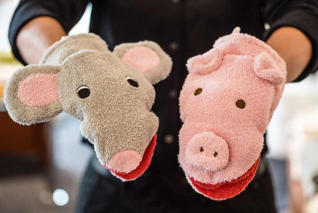 Waschlappen Elefant und Schwein