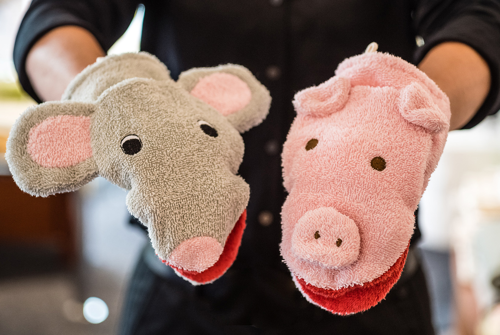 Waschlappen Elefant und Schwein