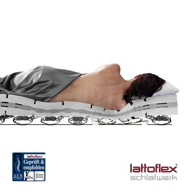lattenrost lattoflex agr