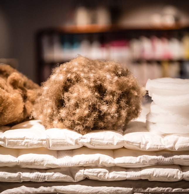 bettdecken eiderdaune